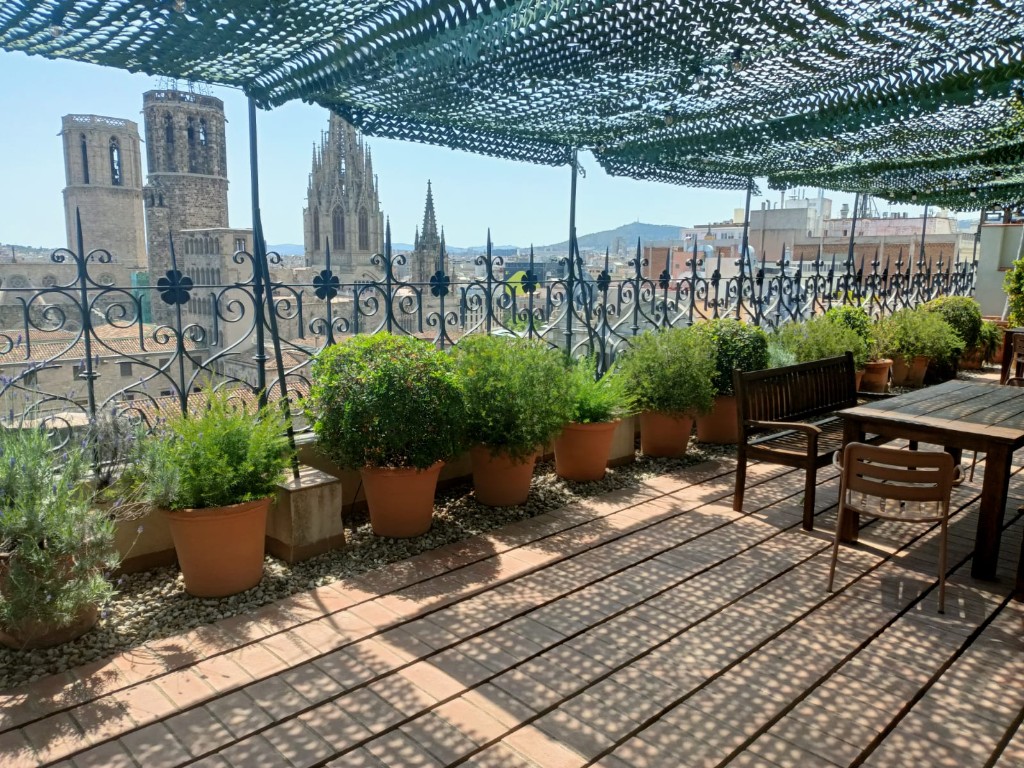 Pier07 terrace deck with wooden floor, potted plants, and Barcelona Cathedral in the background